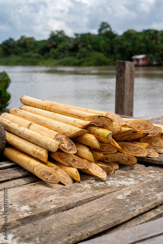 Acai palm heart unloading at riverside dock in the Amazon