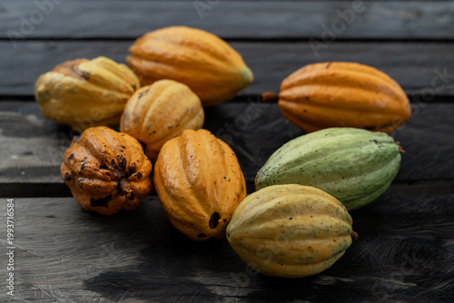 Sustainable Cacao Cultivation in the Amazon Floodplains
