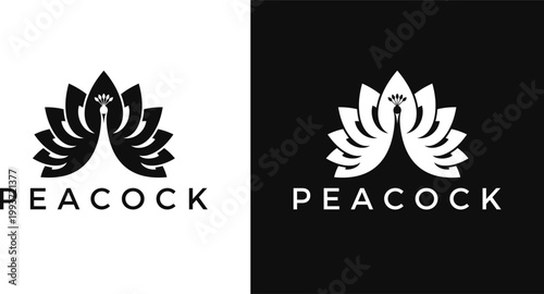 Peacock logo vector. Abstract bird silhouette