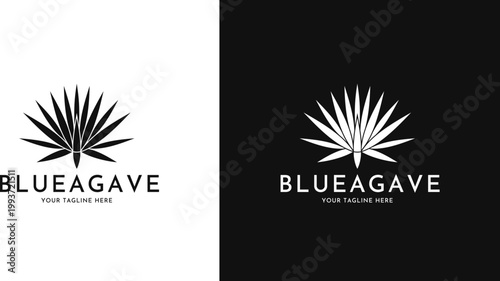 Agave logo vector. Abstract plant silhouette