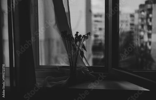 Vintage retro style window with airy tulle, interior decoration for the background.