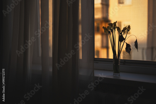 Vintage retro style window with airy tulle, interior decoration for the background.