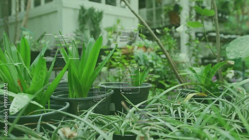 Low camera pulling back, potted plants revealing porch wall, glitch overlays guiding garden design