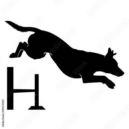 Silhouette of a dog jumping over a hurdle obstacle Isolated on transparent background