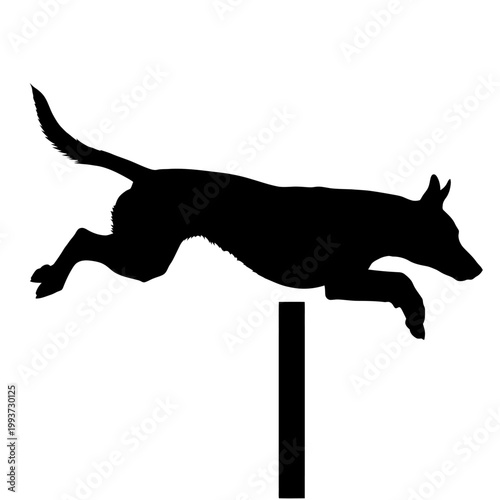 Silhouette of a dog jumping over an agility hurdle Isolated on transparent background