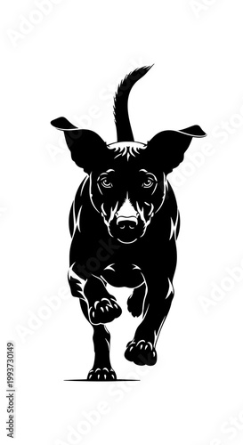 Black silhouette illustration of a dog running towards the viewer Isolated on transparent background