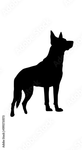 Black silhouette of a standing German Shepherd dog Isolated on transparent background