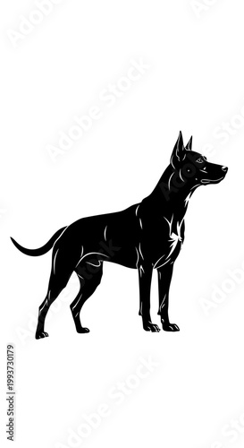 Minimalist black and white silhouette of a Doberman Pinscher dog Isolated on transparent background