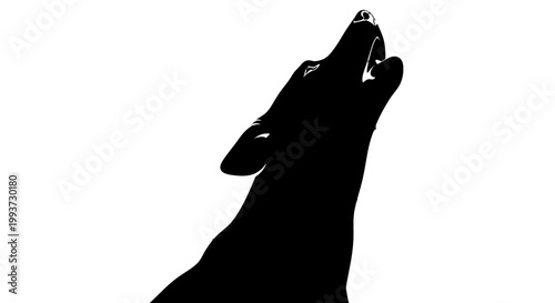 Silhouette of a howling wolf background Isolated on transparent background