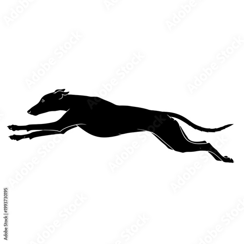 Black silhouette of a running greyhound dog Isolated on transparent background