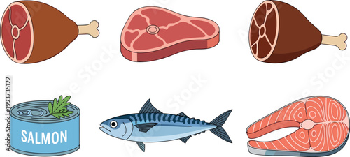 Raw meat and seafood collection with beef steak, ham, tuna fish and salmon slices, protein food vector illustration set