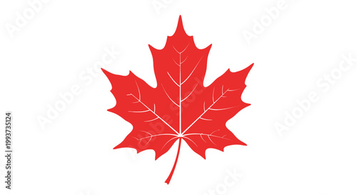 Tableau sur toile Red maple leaf vector illustration isolated on white background symbol