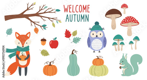 Autumn icons, fall elements, seasonal stickers, cartoon woodland animals, colorful graphics