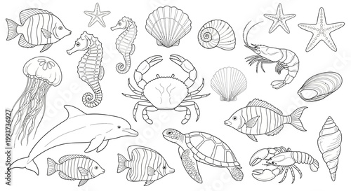 Seafood icons, ocean creatures, marine life illustrations, 20 nautical symbols, vector graphics