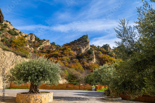Colorful autumn landscape with olive bushes and colorful trees, Georgia