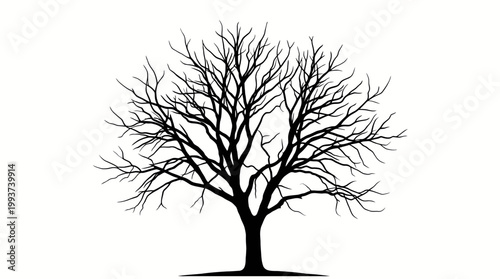 A bare tree stands alone in a field on a white background illustration.