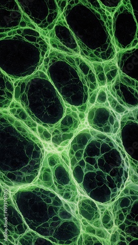 Green Cellular Network Under Microscope