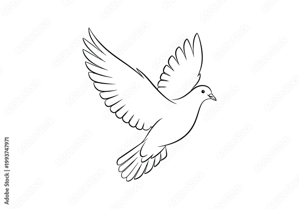 Obraz premium Hand drawn minimalist flying dove line art illustration on white background