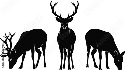 Black silhouette illustrations of three deer in varied postures with antlers symbolizing wildlife, nature, grace, and harmony
