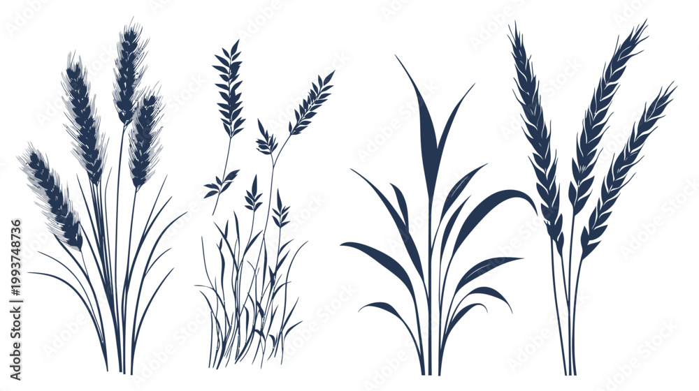Fototapeta premium Stylized illustrations of various grasses and grains, rendered in a minimalist, graphic style, perfect for design