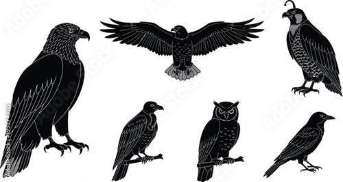 Black birds of prey and corvids, including an eagle, hawk, falcon, and raven, are.