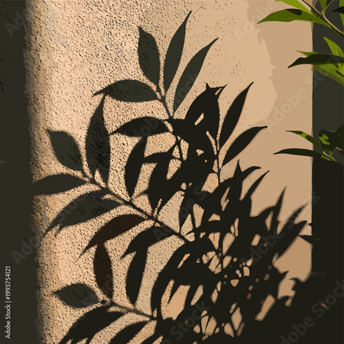 Shadows of green leaves cast on a textured wall, illuminated by warm sunlight.