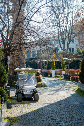 Springtime Horticulture And Tranquility. Serene Early Spring Garden With Landscaping Tools