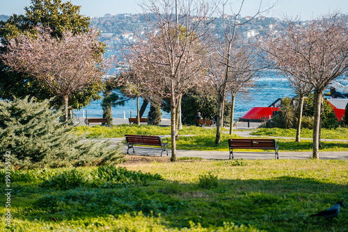Peaceful Seaside Escape. Idyllic Waterfront Sanctuary Featuring Vibrant Boats And Lush Greenery