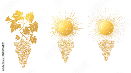 Golden illustrations of grapes and grape-like forms against a white background