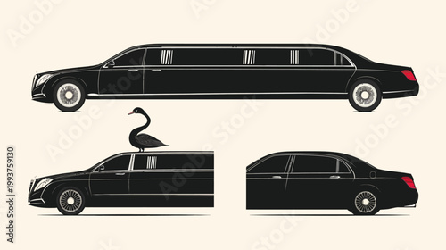Artistic vector illustration of a black swan on a limo with a car set