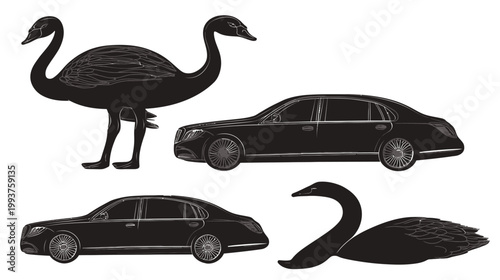 Silhouetted ostrich and swans with two luxury sedans; stylized illustration