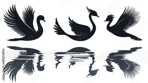 Silhouettes of elegant waterfowl three stylized birds in flight with reflections below