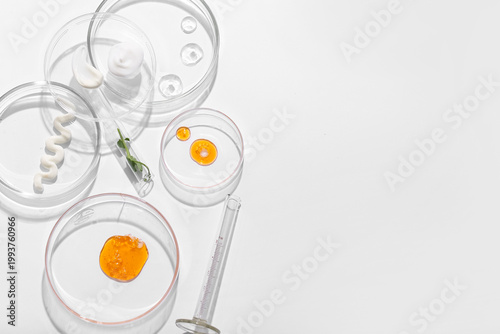 Petri dishes with different samples and professional glassware on white backg...