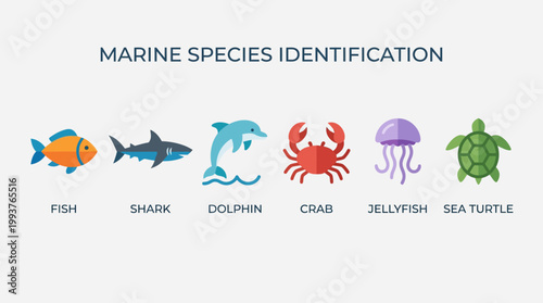A clear Flat Design illustration presenting a collection of stylized icons for various marine species, perfect for identification and educational purposes. 
