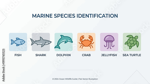 A clear Flat Design illustration presenting a collection of stylized icons for various marine species, perfect for identification and educational purposes. 