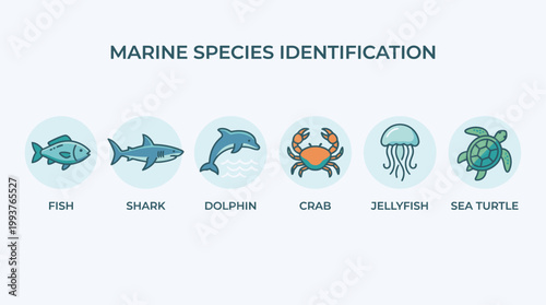 A clear Flat Design illustration presenting a collection of stylized icons for various marine species, perfect for identification and educational purposes. 