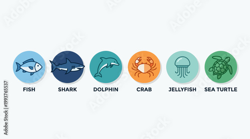 A clear Flat Design illustration presenting a collection of stylized icons for various marine species, perfect for identification and educational purposes. 