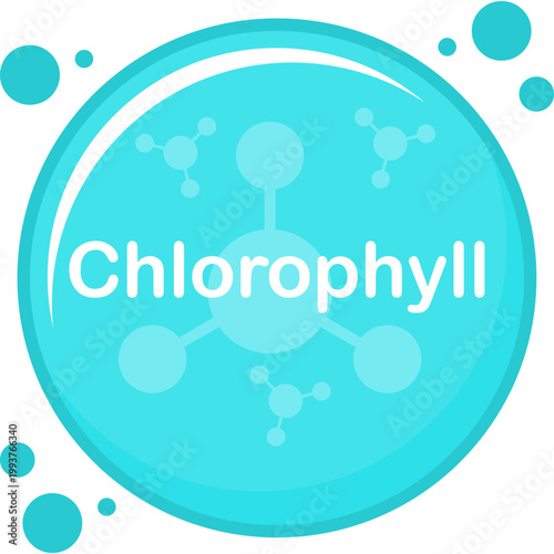 Chlorophyll molecule Illustration Design