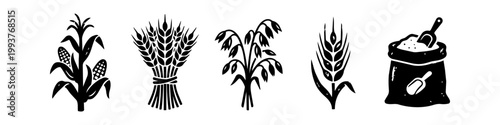 Set of Black Cereal Grain Icons: Corn, Wheat Sheaf, Oats, Rye, and Flour Sack Silhouettes Isolated on White Background for Agricultural and Bakery Design