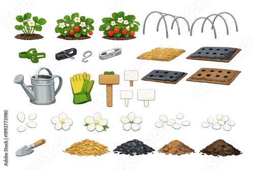 Gardening tools and materials are laid out for planting strawberry plants and setting up garden beds for the growing season