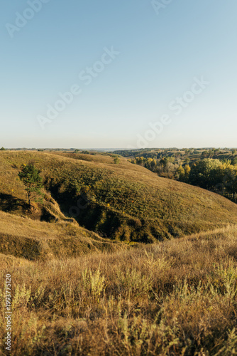 Valley landscape with hills and trees under soft evening light