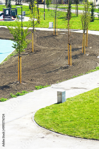 Obraz na plátně Newly planted tree cluster beside curved walkway, freshly laid lawn, and playground equipment in background