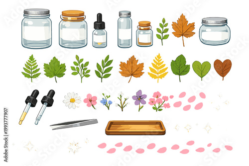Design elements for herbal remedies and natural products with jars, leaves, flowers, and droppers arranged neatly