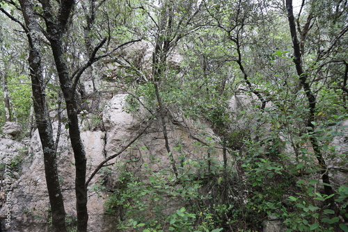 Ancien oppidum, aussi appelé oppidum de mus, site archéologique, village de Sauve, département du Gard, France