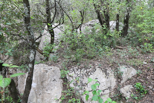 Ancien oppidum, aussi appelé oppidum de mus, site archéologique, village de Sauve, département du Gard, France