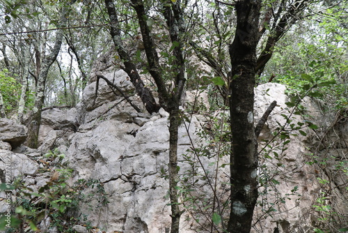 Ancien oppidum, aussi appelé oppidum de mus, site archéologique, village de Sauve, département du Gard, France
