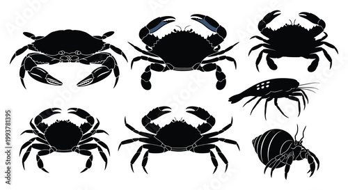 A collection of various crab species depicted in stark black silhouettes against a white background silhouette high quality professional detailed modern