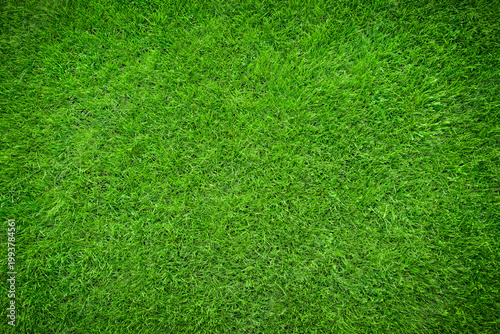 Photography Green grass texture background top view, fresh lawn pattern with natural detail