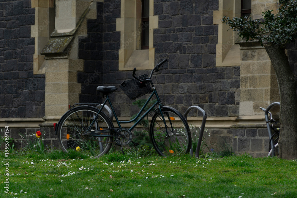 Fototapeta premium bicycles