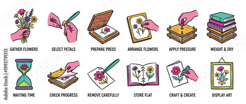 Illustrated guide for pressing flowers showing the complete step-by-step process from gathering blooms to creating and displaying the final framed artwork